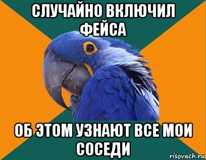 случайно включил фейса об этом узнают все мои соседи, Мем Попугай параноик