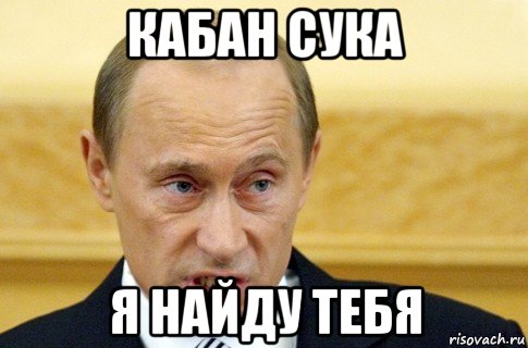 кабан сука я найду тебя, Мем путин