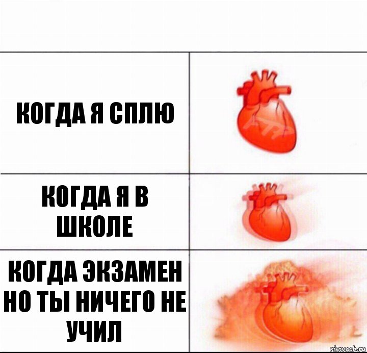 когда я сплю когда я в школе когда экзамен но ты ничего не учил, Комикс  Расширяюшее сердце