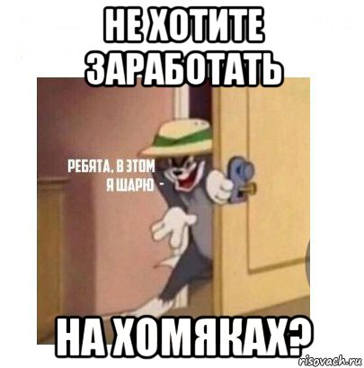 не хотите заработать на хомяках?, Мем Ребята я в этом шарю