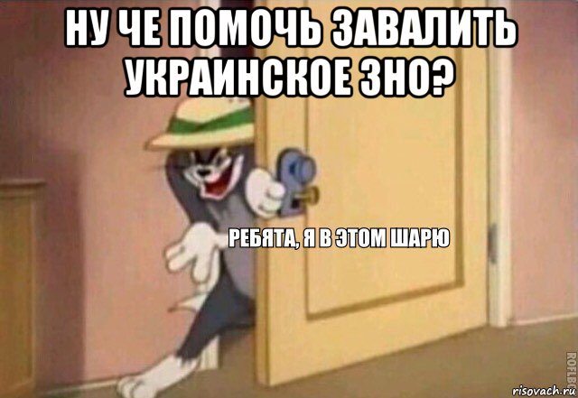 ну че помочь завалить украинское зно? , Мем    Ребята я в этом шарю