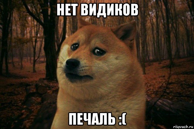 нет видиков печаль :(, Мем SAD DOGE