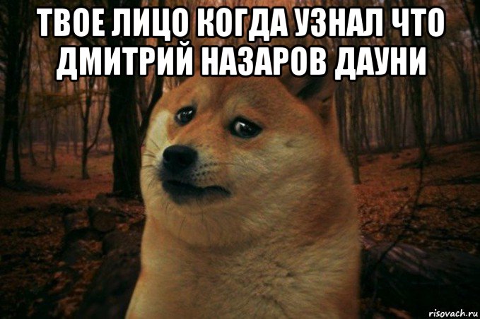 твое лицо когда узнал что дмитрий назаров дауни , Мем SAD DOGE