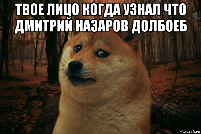 твое лицо когда узнал что дмитрий назаров долбоеб , Мем SAD DOGE