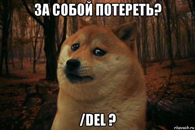 за собой потереть? /del ?, Мем SAD DOGE