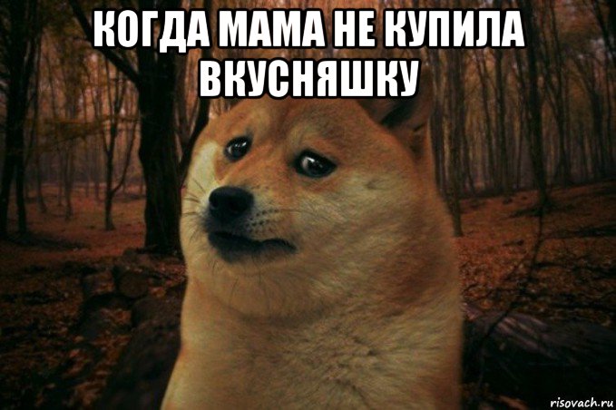 когда мама не купила вкусняшку , Мем SAD DOGE