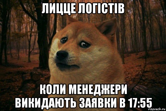 лицце логістів коли менеджери викидають заявки в 17:55, Мем SAD DOGE