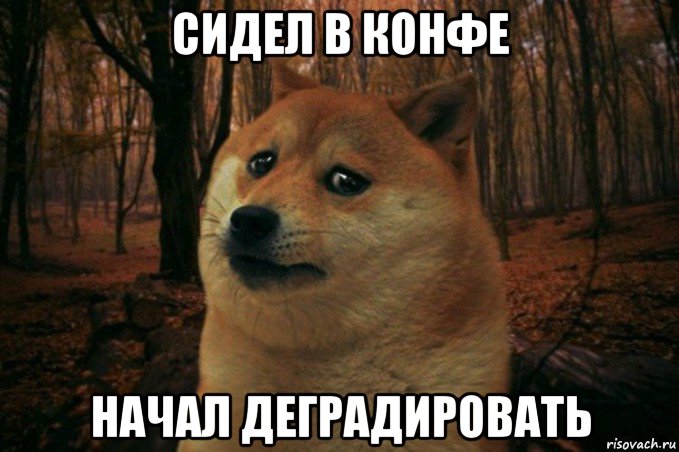 сидел в конфе начал деградировать, Мем SAD DOGE