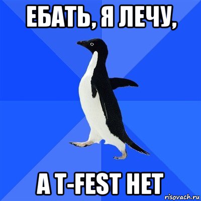 ебать, я лечу, а t-fest нет