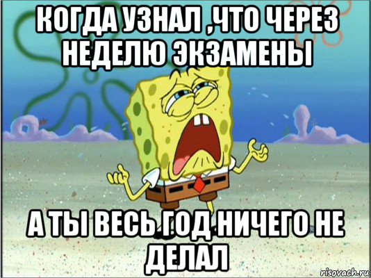 когда узнал ,что через неделю экзамены а ты весь год ничего не делал, Мем Спанч Боб плачет