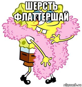 шерсть флаттершай 