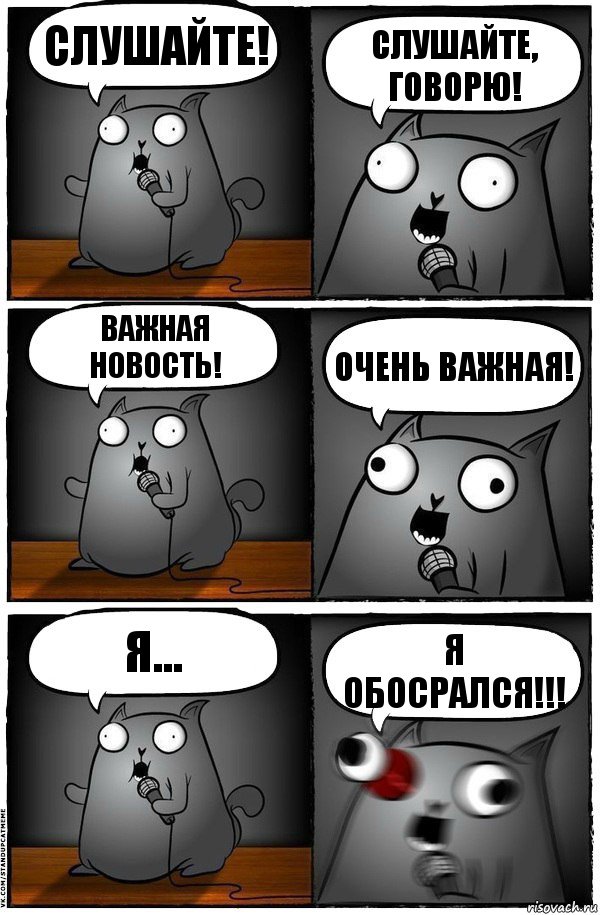 Слушайте! Слушайте, говорю! Важная новость! Очень важная! Я... Я обосрался!!!, Комикс  Стендап-кот