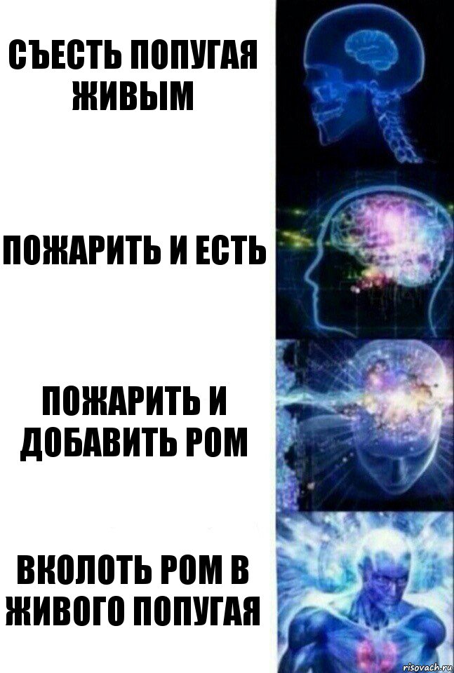 Съесть Попугая живым Пожарить и есть Пожарить и добавить ром Вколоть Ром в живого Попугая, Комикс  Сверхразум