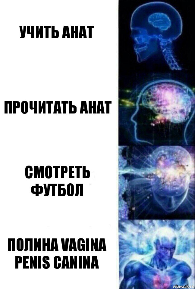 Учить анат Прочитать анат Смотреть футбол Полина vagina penis canina, Комикс  Сверхразум