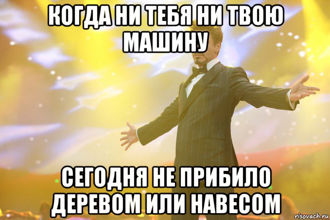 когда ни тебя ни твою машину сегодня не прибило деревом или навесом, Мем Тони Старк (Роберт Дауни младший)