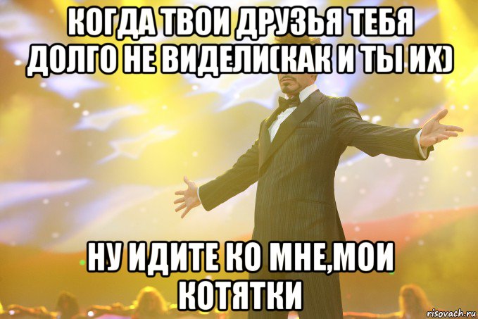 когда твои друзья тебя долго не видели(как и ты их) ну идите ко мне,мои котятки, Мем Тони Старк (Роберт Дауни младший)