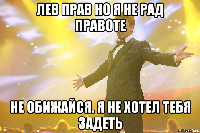 лев прав но я не рад правоте не обижайся. я не хотел тебя задеть, Мем Тони Старк (Роберт Дауни младший)