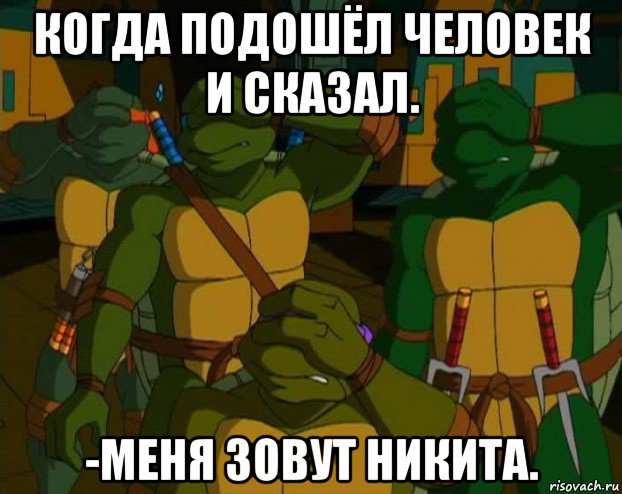 когда подошёл человек и сказал. -меня зовут никита., Мем Черепашки Ниндзя фейспалмят