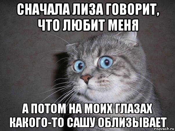 сначала лиза говорит, что любит меня а потом на моих глазах какого-то сашу облизывает, Мем  удивлённый кот