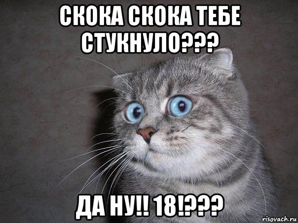 скока скока тебе стукнуло??? да ну!! 18!???, Мем  удивлённый кот