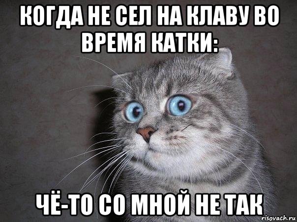 когда не сел на клаву во время катки: чё-то со мной не так, Мем  удивлённый кот