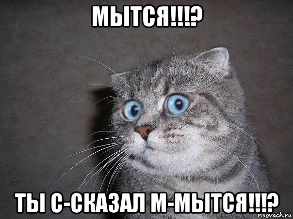 мытся!!!? ты с-сказал м-мытся!!!?