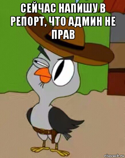 сейчас напишу в репорт, что админ не прав , Мем    Упоротая сова