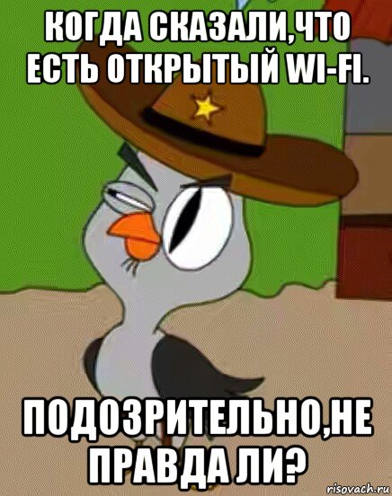 когда сказали,что есть открытый wi-fi. подозрительно,не правда ли?, Мем    Упоротая сова