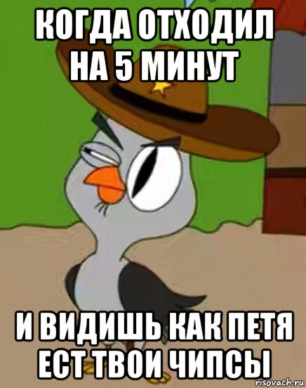 когда отходил на 5 минут и видишь как петя ест твои чипсы, Мем    Упоротая сова