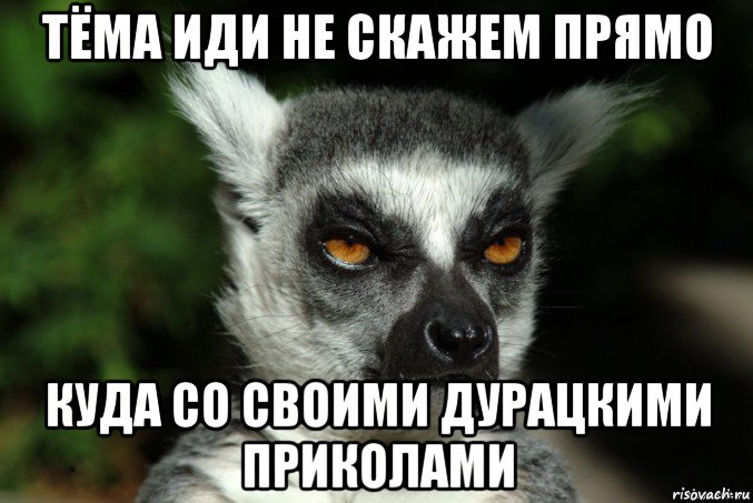 тёма иди не скажем прямо куда со своими дурацкими приколами, Мем   Я збагоен