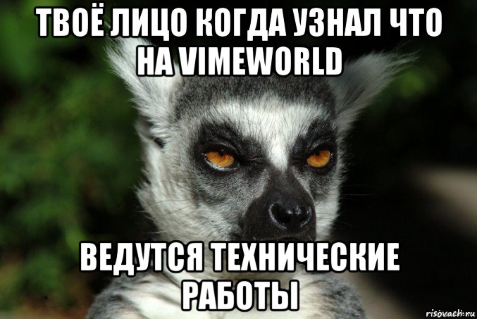 твоё лицо когда узнал что на vimeworld ведутся технические работы