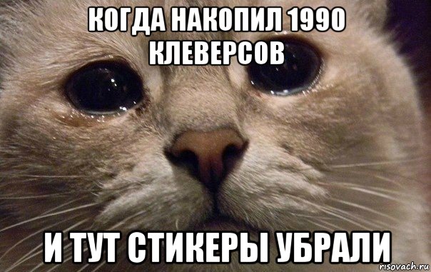 когда накопил 1990 клеверсов и тут стикеры убрали, Мем   В мире грустит один котик