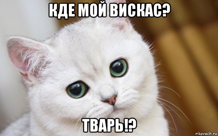 кде мой вискас? тварь!?