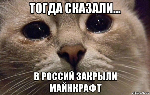 тогда сказали... в россий закрыли майнкрафт, Мем   В мире грустит один котик