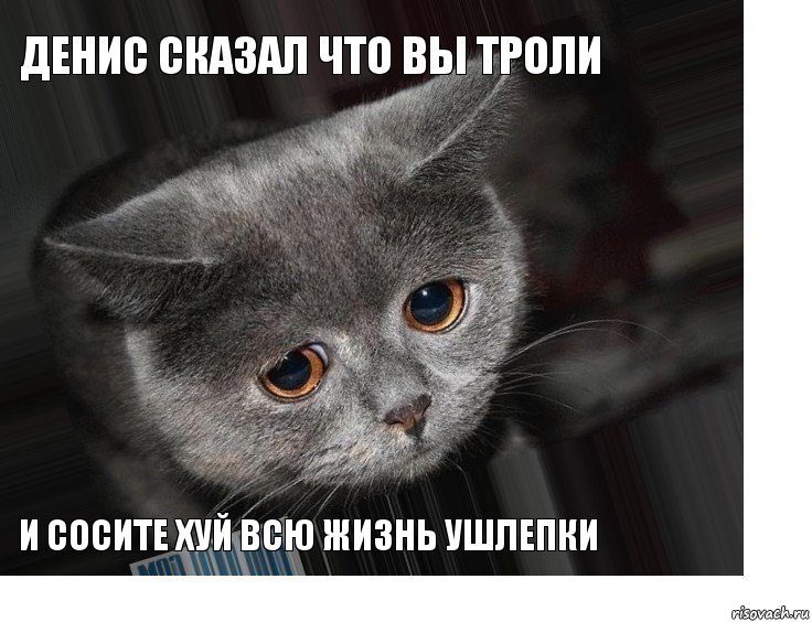 Денис сказал что вы троли И сосите хуй всю жизнь ушлепки, Комикс Грустит кот