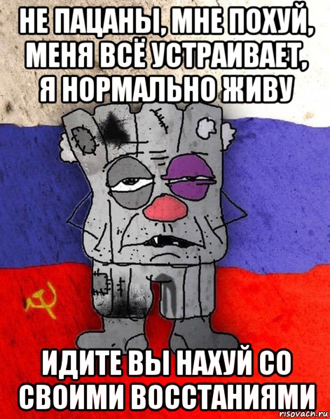 не пацаны, мне похуй, меня всё устраивает, я нормально живу идите вы нахуй со своими восстаниями, Мем Ватник