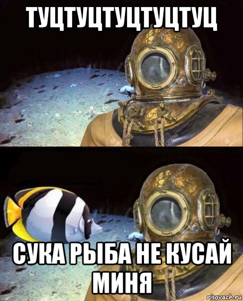 туцтуцтуцтуцтуц сука рыба не кусай миня, Мем   Высокое давление