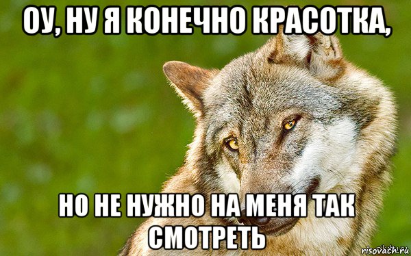 оу, ну я конечно красотка, но не нужно на меня так смотреть, Мем   Volf