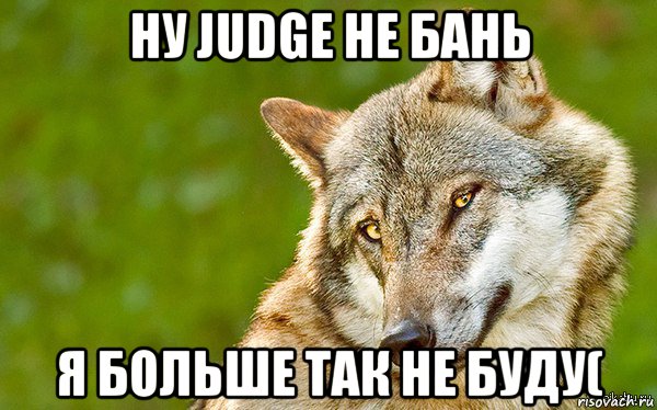 ну judge не бань я больше так не буду(, Мем   Volf