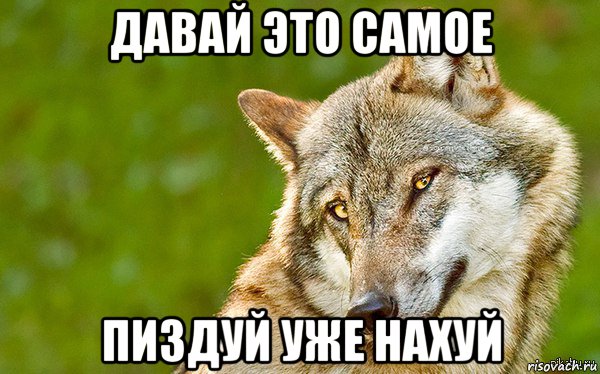 давай это самое пиздуй уже нахуй, Мем   Volf