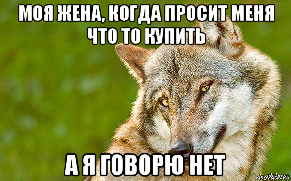 моя жена, когда просит меня что то купить а я говорю нет, Мем   Volf