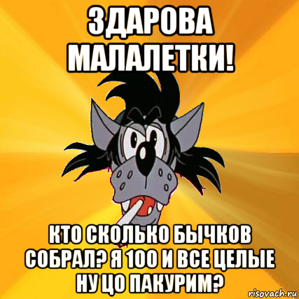 здарова малалетки! кто сколько бычков собрал? я 100 и все целые ну цо пакурим?, Мем Волк