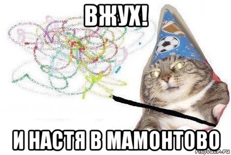 вжух! и настя в мамонтово, Мем Вжух мем