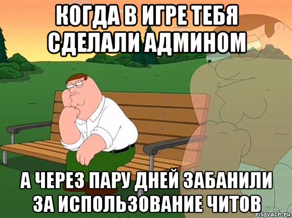 когда в игре тебя сделали админом а через пару дней забанили за использование читов, Мем Задумчивый Гриффин