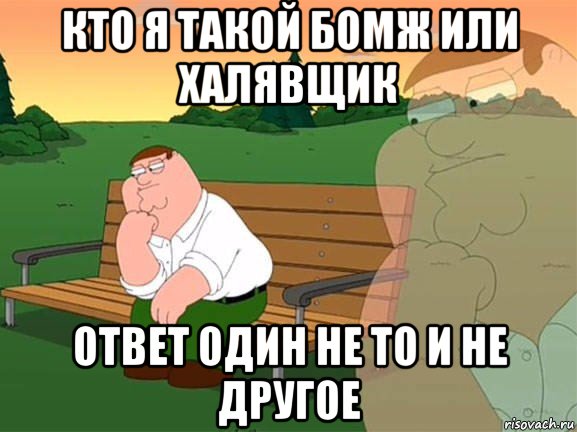 кто я такой бомж или халявщик ответ один не то и не другое, Мем Задумчивый Гриффин