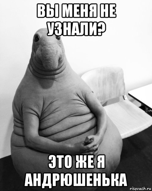 вы меня не узнали? это же я андрюшенька, Мем  Ждун