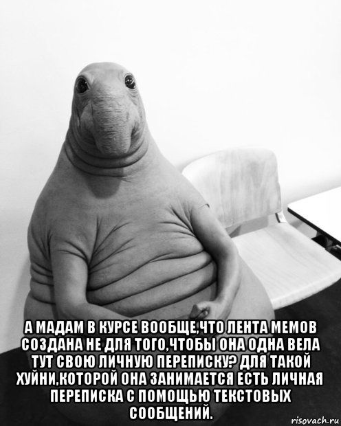  а мадам в курсе вообще,что лента мемов создана не для того,чтобы она одна вела тут свою личную переписку? для такой хуйни,которой она занимается есть личная переписка с помощью текстовых сообщений., Мем  Ждун