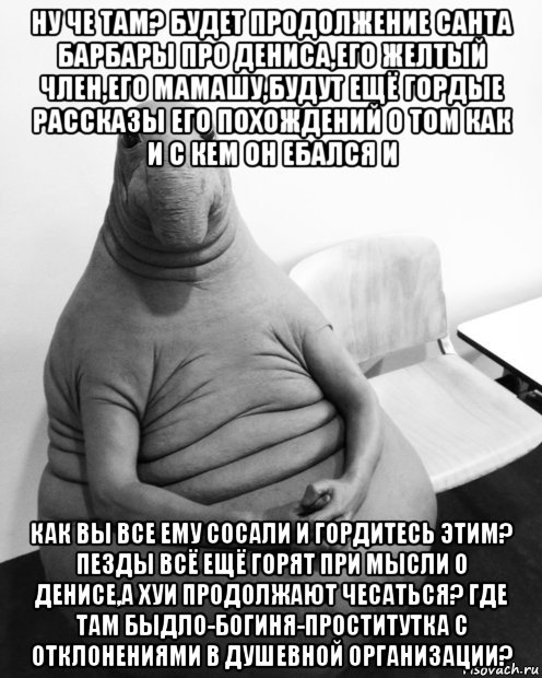 ну че там? будет продолжение санта барбары про дениса,его желтый член,его мамашу,будут ещё гордые рассказы его похождений о том как и с кем он ебался и как вы все ему сосали и гордитесь этим? пезды всё ещё горят при мысли о денисе,а хуи продолжают чесаться? где там быдло-богиня-проститутка с отклонениями в душевной организации?, Мем  Ждун