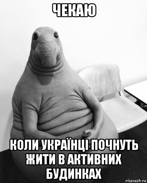 чекаю коли українці почнуть жити в активних будинках, Мем  Ждун