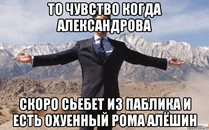 то чувство когда александрова скоро сьебет из паблика и есть охуенный рома алёшин, Мем железный человек